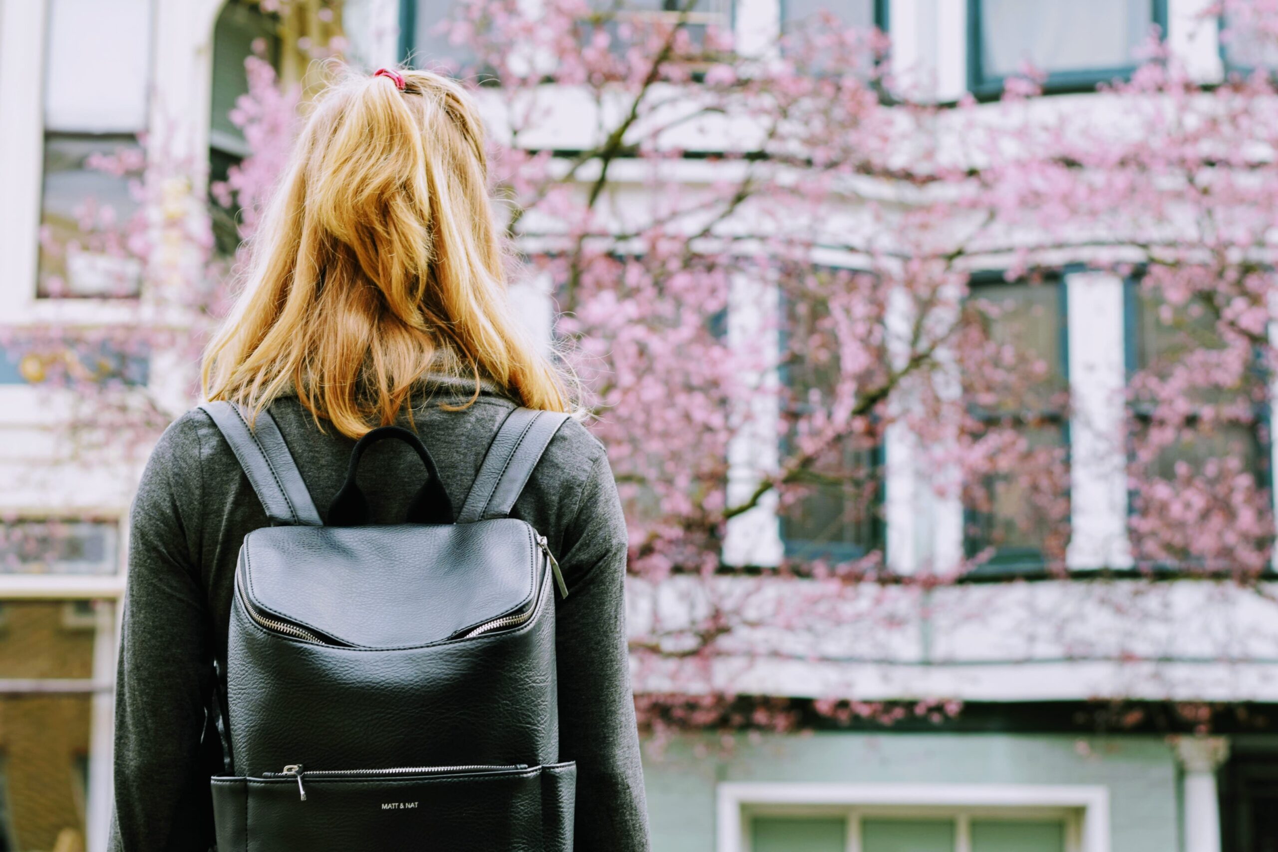 7 Best Backpacks for Female Lawyers in 2023