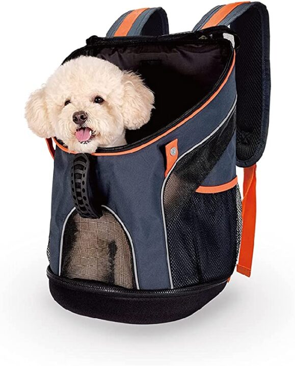Airline Approved Pet Carrier Backpack Soft Sided Tote for Small to Medium Dogs & Cats