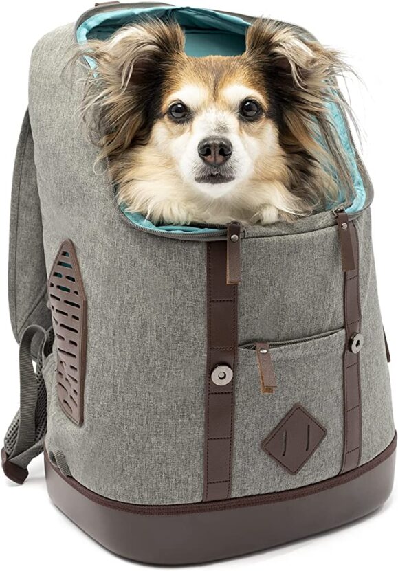 Kurgo Dog Carrier Backpack for Small Pets